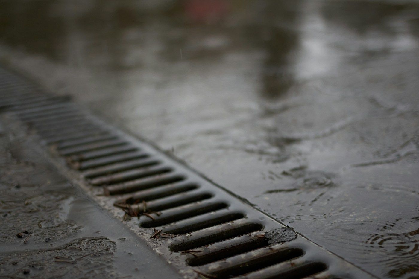 Racines et prestations liées : caniveau à grille recevant l’eau de pluie